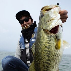 書いた人のアイコン・画像